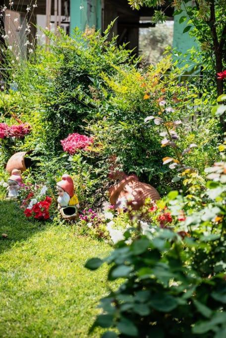 Villa Valentina بلاك كالا المظهر الخارجي الصورة
